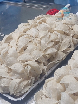 Địa chỉ nơi Nghiên Cứu và Sản Xuất