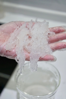 FUN FACT VỀ SỢI YẾN CÓ THỂ BẠN CHƯA BIẾT 