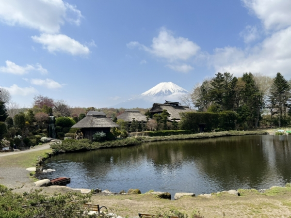 ĐẶC TRƯNG VĂN HÓA ẨM THỰC NHẬT BẢN CÓ GÌ THÚ VỊ?